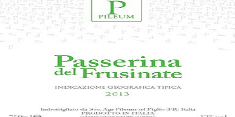 Pileum_Passerina